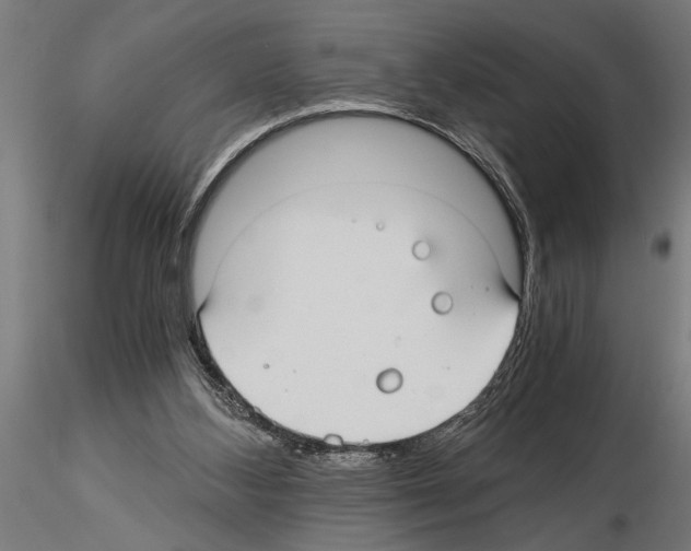 X0000115260108200912111149