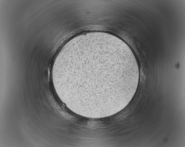 X0000115260109200912111149