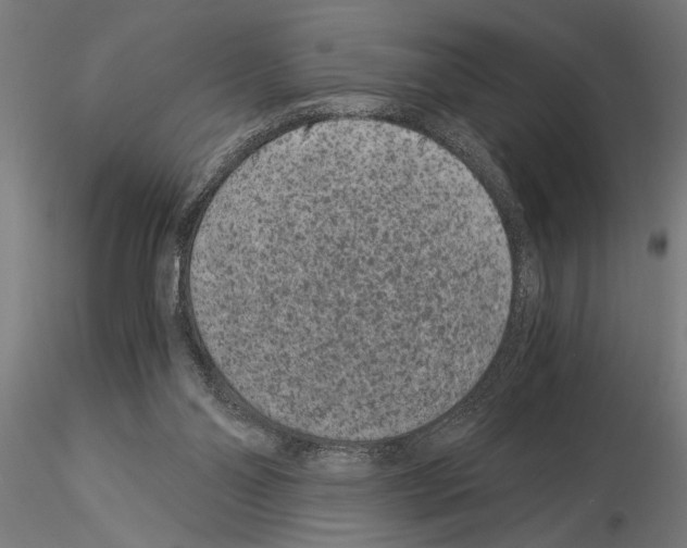 X0000115260110200912111149