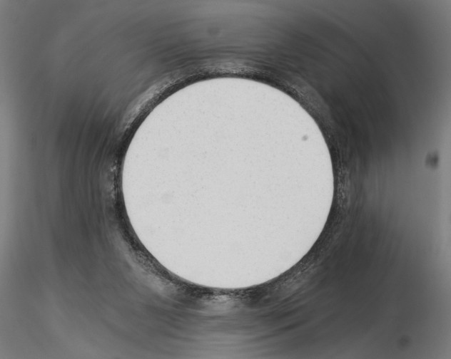 X0000115260111200912111149