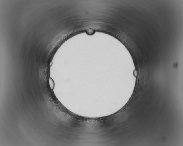 X0000115260112200912111149