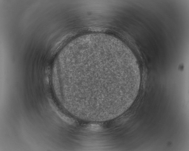 X0000115260114200912111149