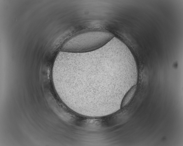 X0000115260117200912111149