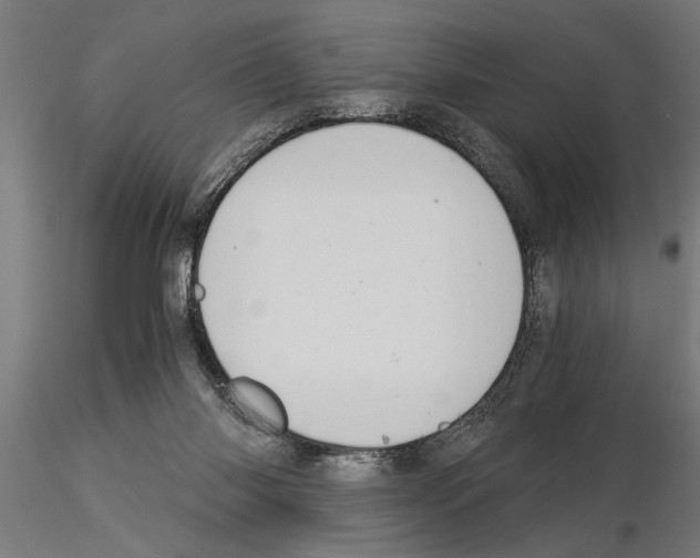 X0000115260118200912111149