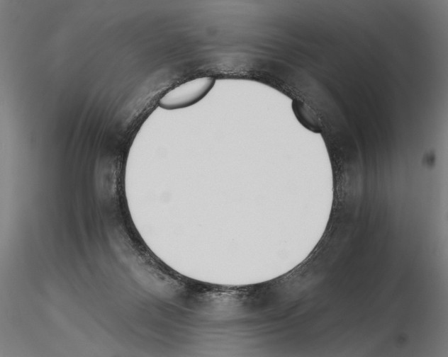 X0000115260120200912111149