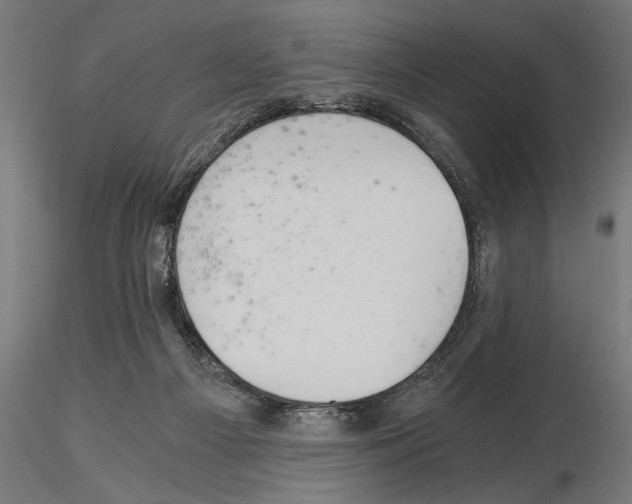 X0000115260121200912111149