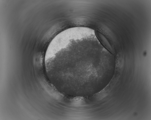 X0000115260124200912111149