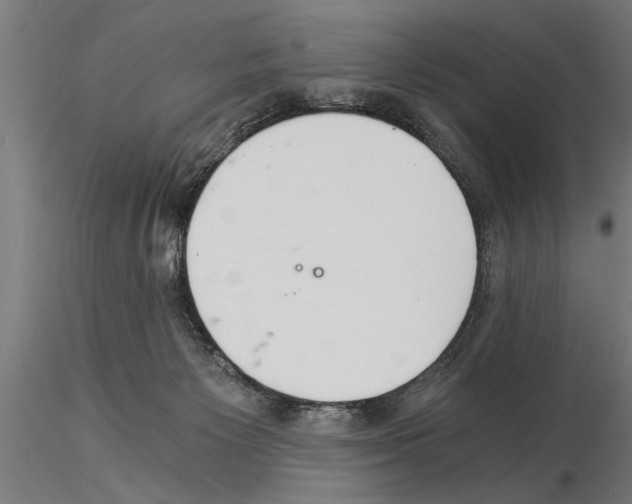 X0000115260125200912111149