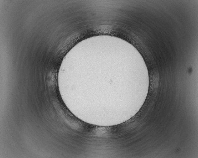 X0000115260126200912111149