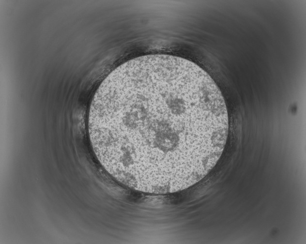 X0000115260127200912111149