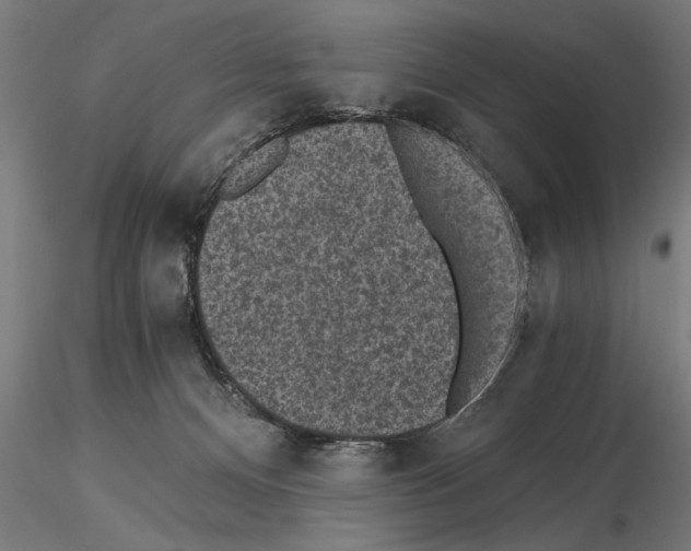 X0000115260128200912111149