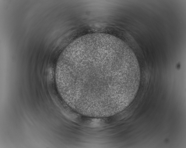 X0000115260130200912111149