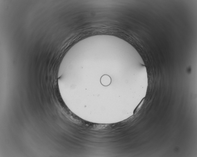 X0000115260136200912111149