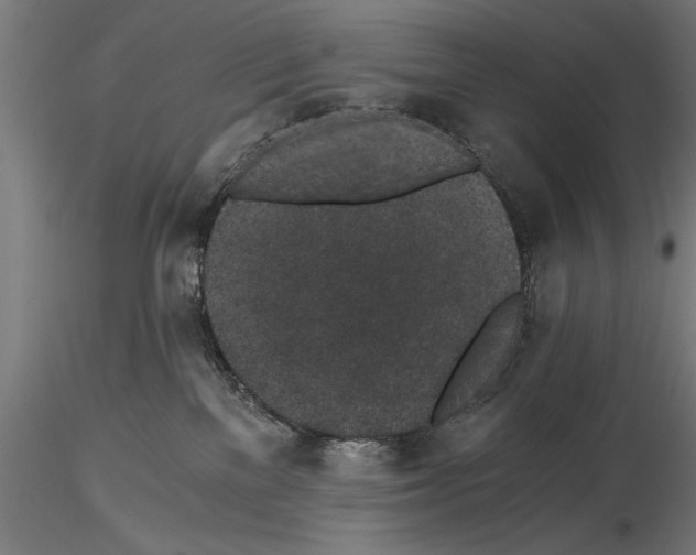 X0000115260137200912111149