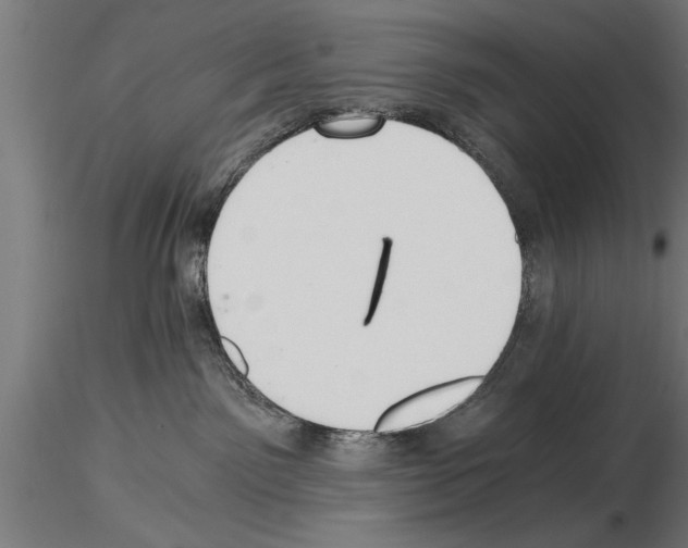 X0000115260141200912111149