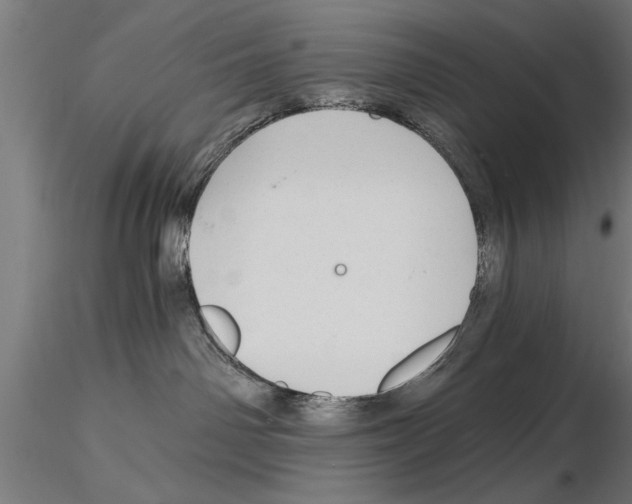 X0000115260142200912111149