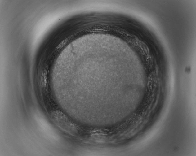 X0000115260146200912111148