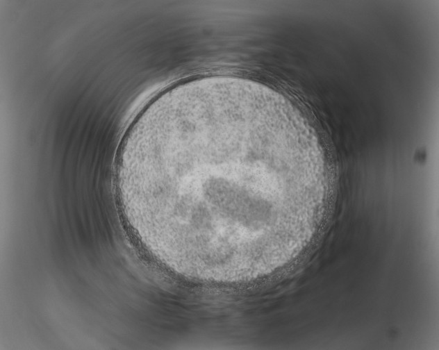 X0000115260147200912111148