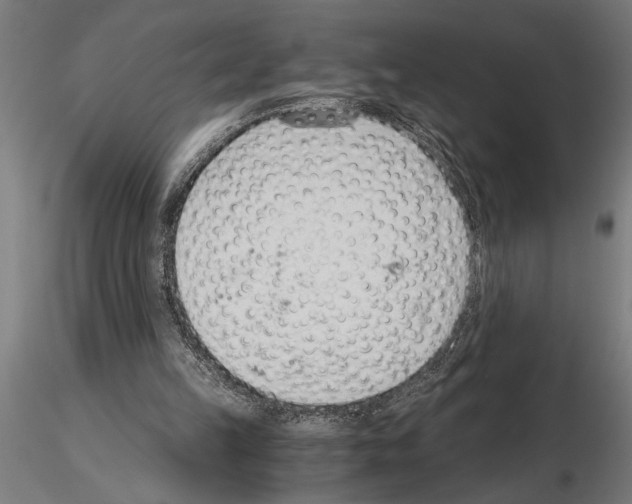 X0000115260149200912111148