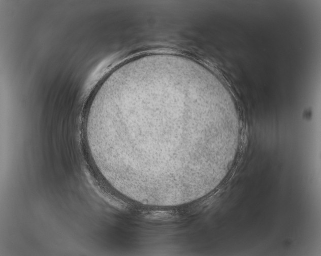 X0000115260151200912111148