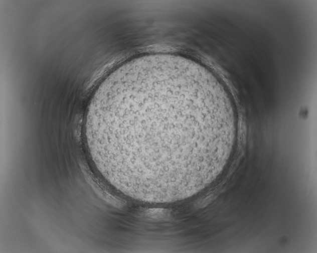 X0000115260153200912111148