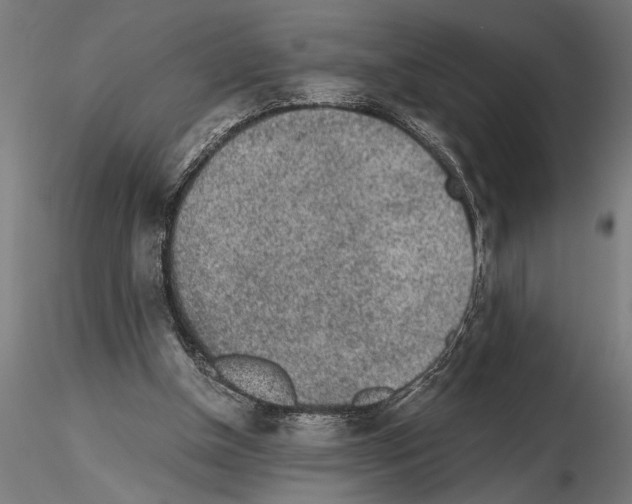 X0000115260154200912111148