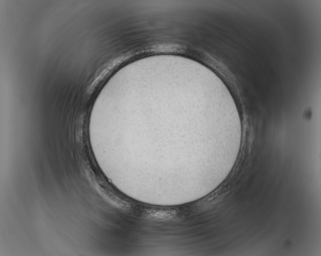 X0000115260155200912111148