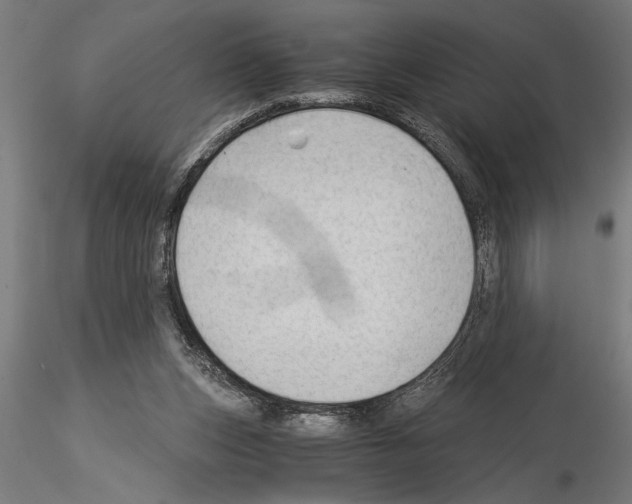 X0000115260159200912111148