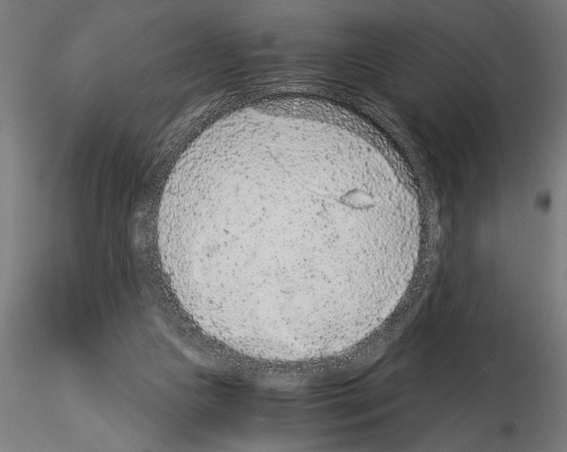 X0000115260161200912111148