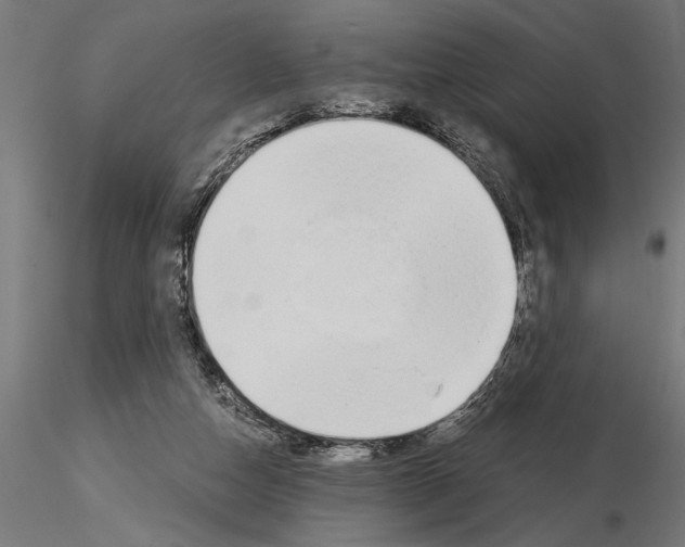 X0000115260162200912111148