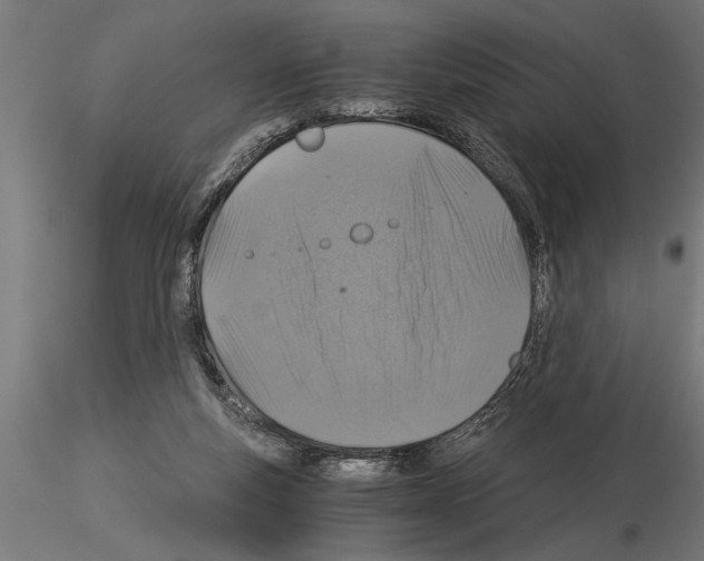 X0000115260163200912111148