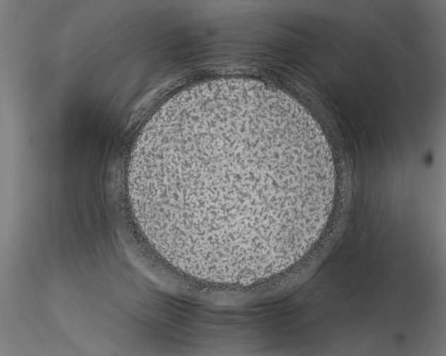 X0000115260165200912111148