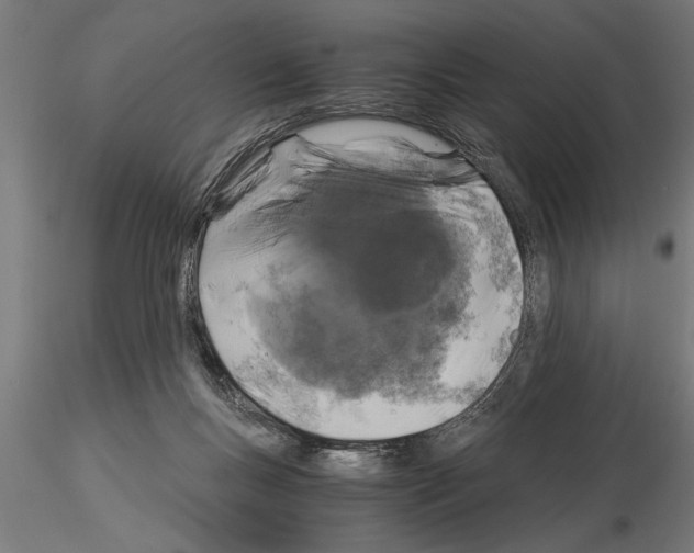 X0000115260167200912111148