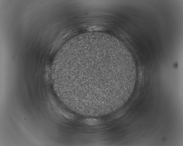 X0000115260169200912111148