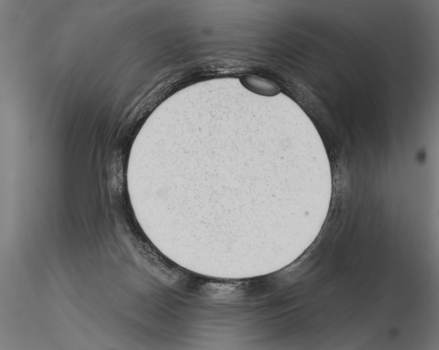 X0000115260170200912111148