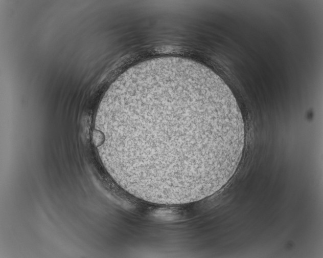 X0000115260171200912111148