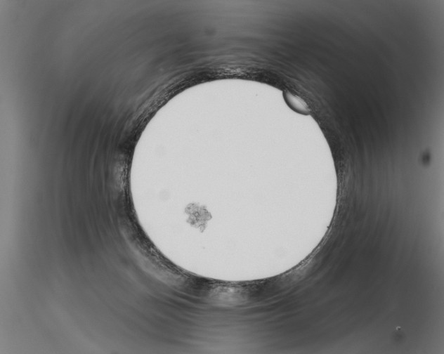 X0000115260174200912111148