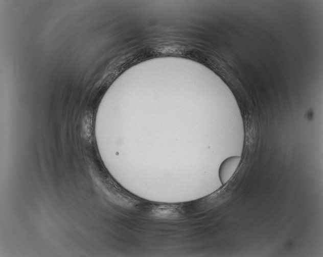 X0000115260175200912111148