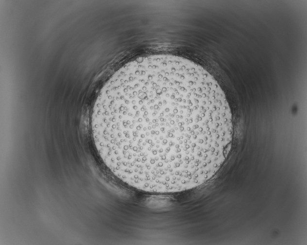 X0000115260179200912111148