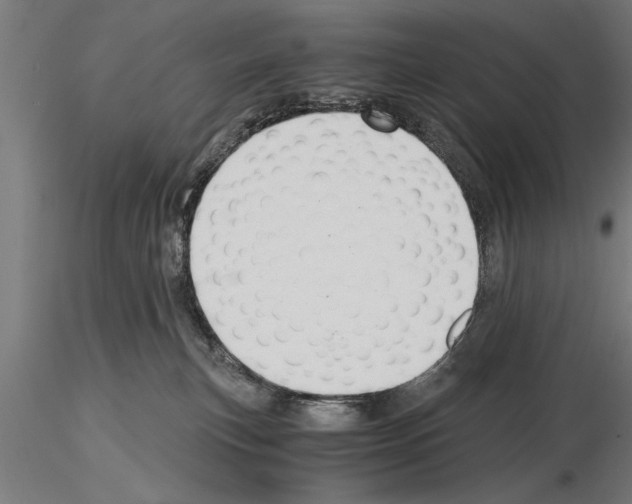 X0000115260183200912111148