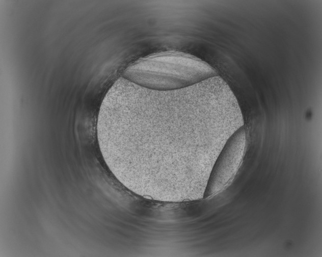 X0000115260186200912111149