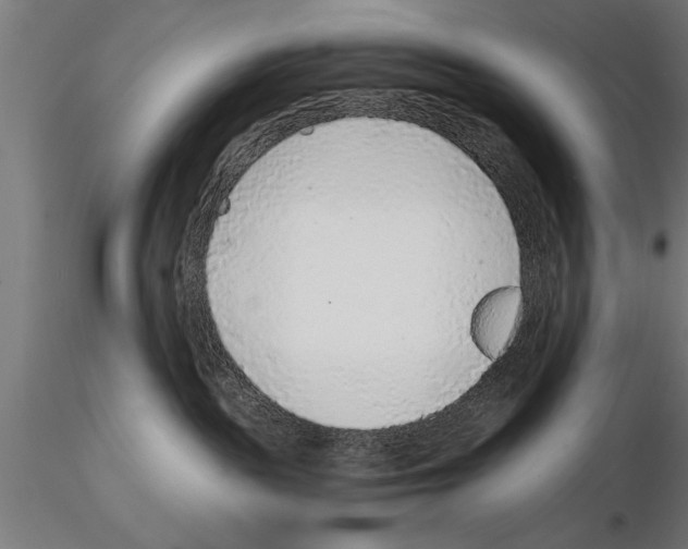 X0000115260189200912111149