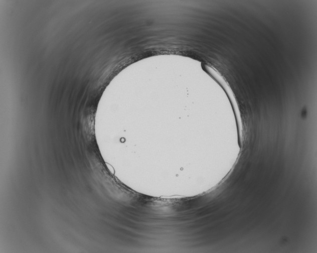 X0000115260190200912111149