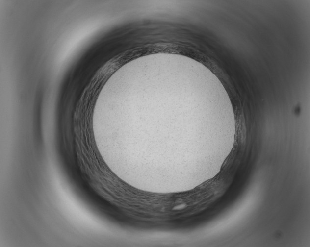 X0000115260191200912111149