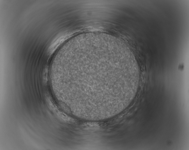 X0000115260194200912111148