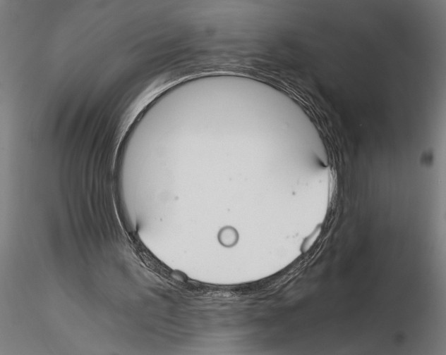 X0000115260195200912111148