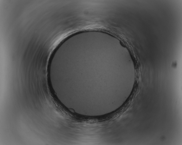 X0000115260196200912111148