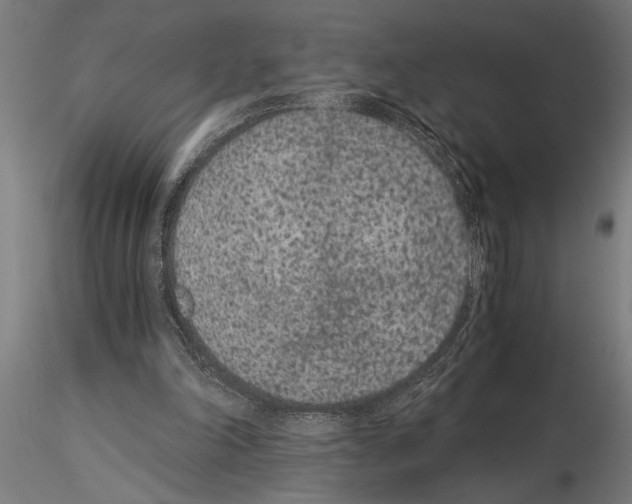 X0000115260198200912111148