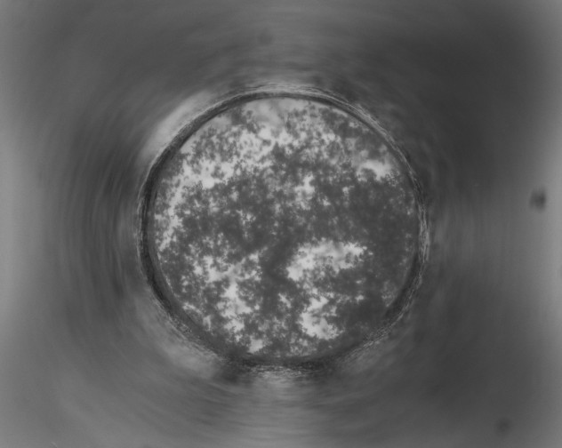 X0000115260199200912111148