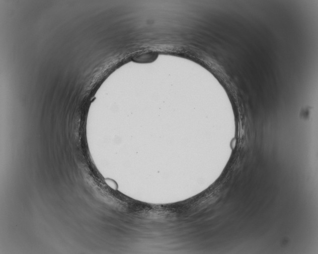 X0000115260201200912111148